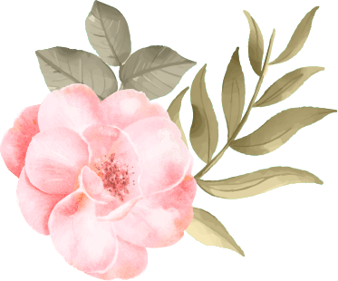 rev sliderhome2 1.png