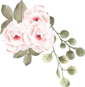 rev sliderhome2 2.png