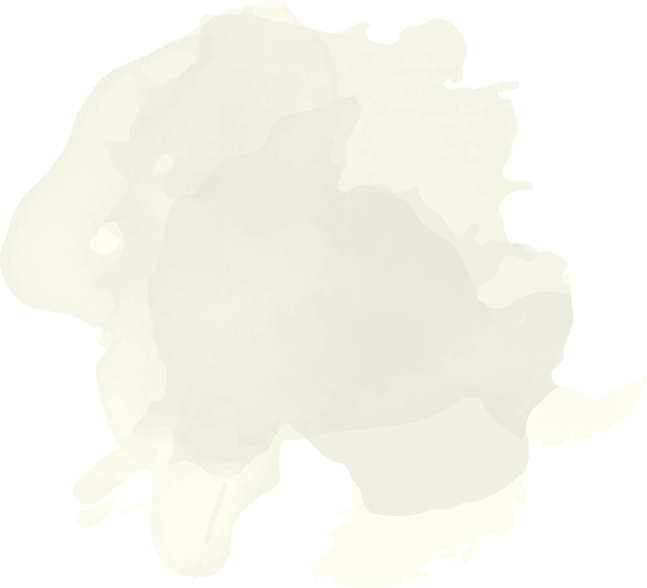 rev sliderhome2 3.png