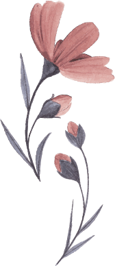 revolution slider home4 2342342.png